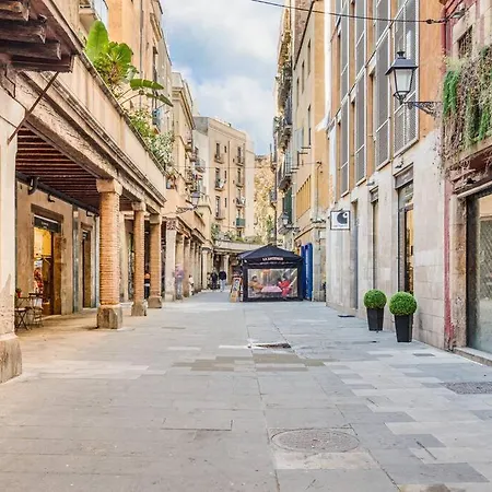 Prive Terrace In El Born, Near The * Barcelona